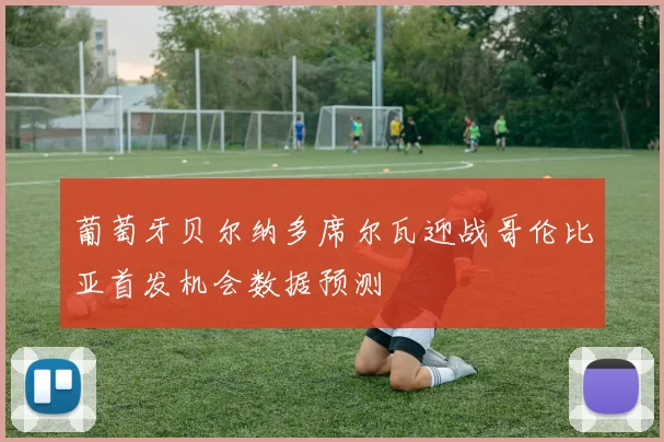 葡萄牙贝尔纳多席尔瓦迎战哥伦比亚首发机会数据预测
