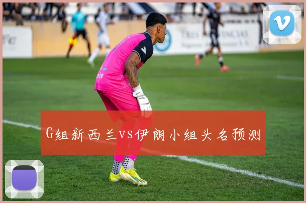 G组新西兰vs伊朗小组头名预测