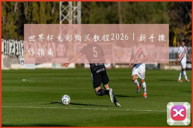 世界杯竞彩购买教程2026｜新手操作指南