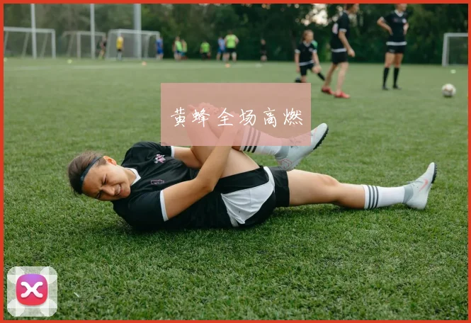 黄蜂全场高燃
