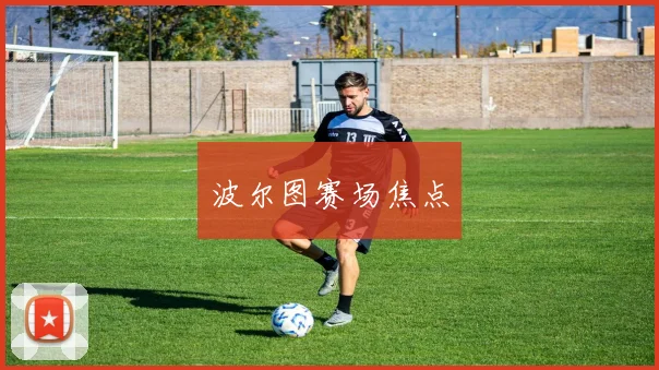 波尔图赛场焦点