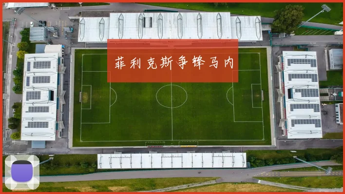 菲利克斯争锋马内