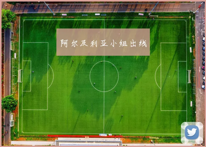 阿尔及利亚小组出线