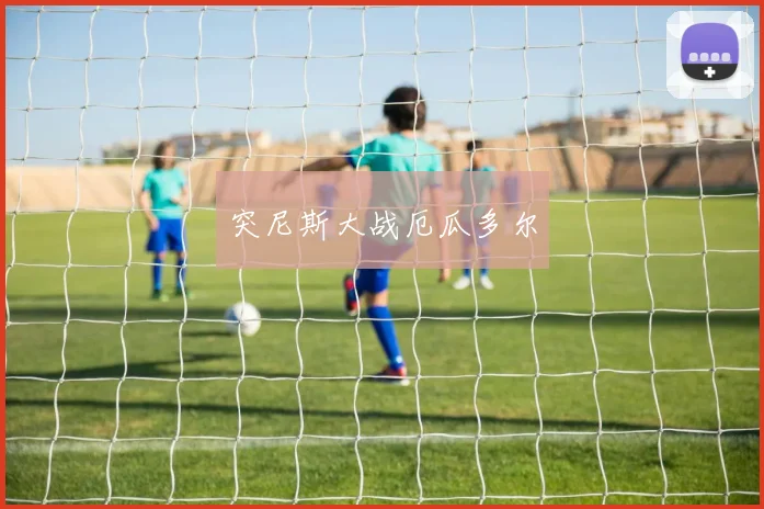 突尼斯大战厄瓜多尔