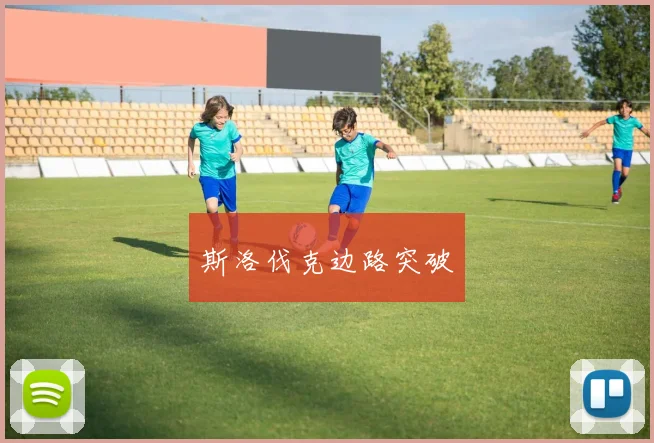 斯洛伐克边路突破