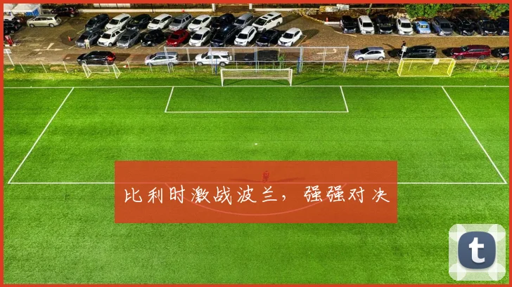 比利时激战波兰，强强对决