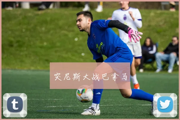 突尼斯大战巴拿马