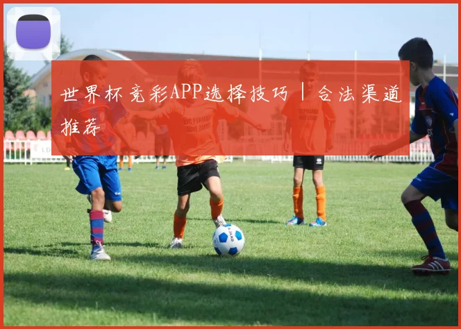 世界杯竞彩APP选择技巧｜合法渠道推荐