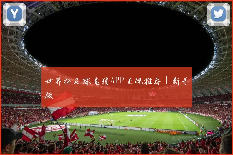 世界杯足球竞猜APP正规推荐｜新手版