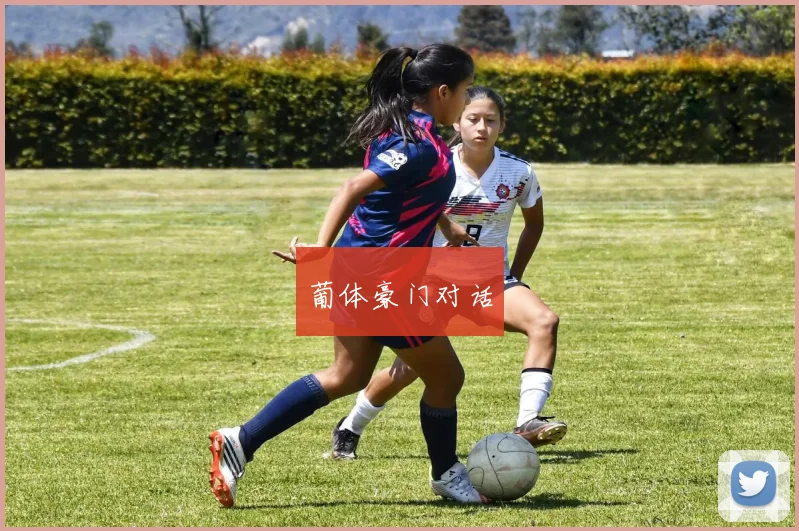 葡体豪门对话