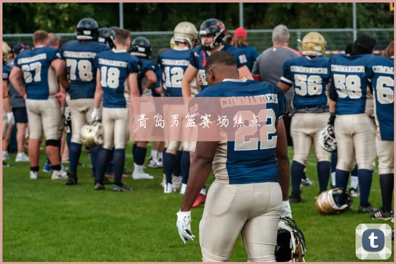 青岛男篮赛场焦点