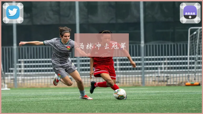 马林冲击冠军