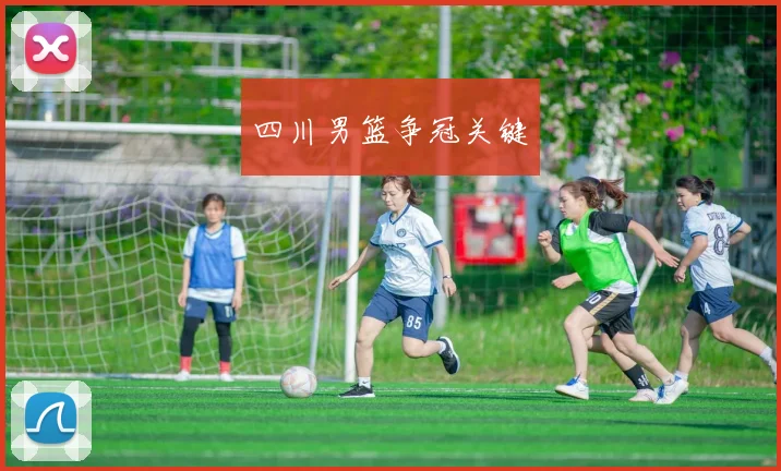 四川男篮争冠关键
