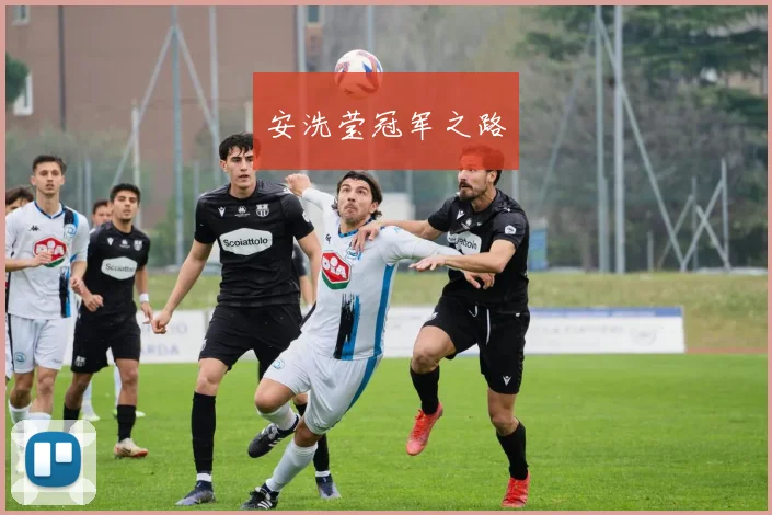 安洗莹冠军之路