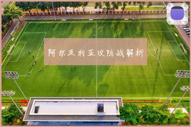 阿尔及利亚攻防战解析