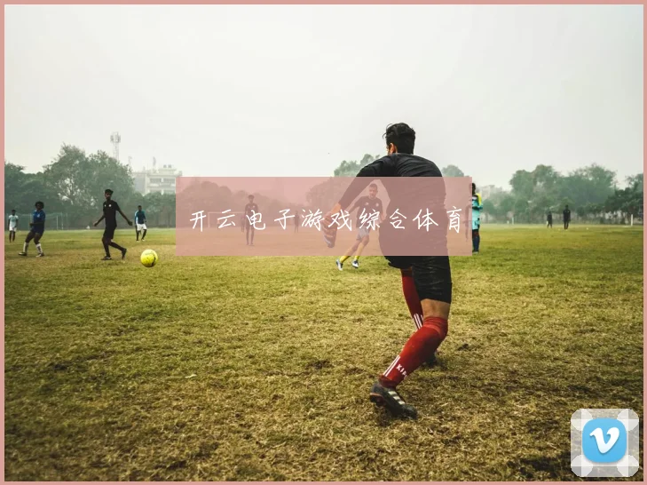 开云电子游戏综合体育