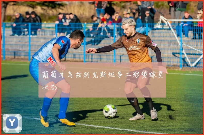 葡萄牙乌兹别克斯坦争二形势球员状态