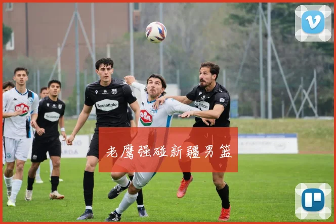 老鹰强碰新疆男篮