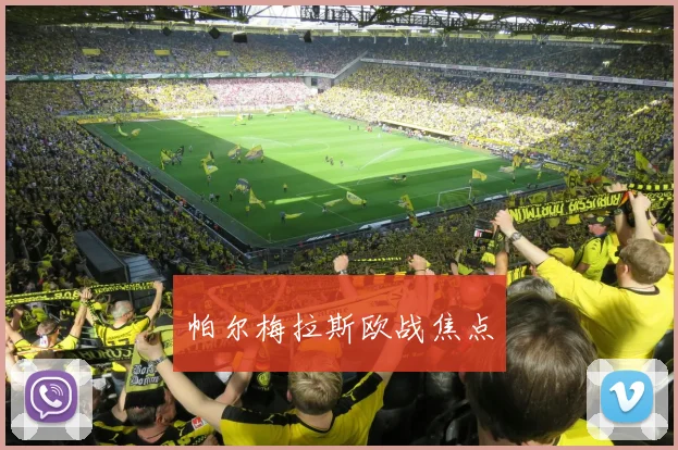 帕尔梅拉斯欧战焦点