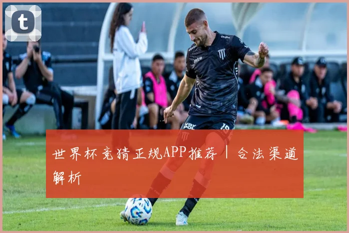 世界杯竞猜正规APP推荐｜合法渠道解析