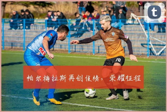 帕尔梅拉斯再创佳绩，荣耀征程
