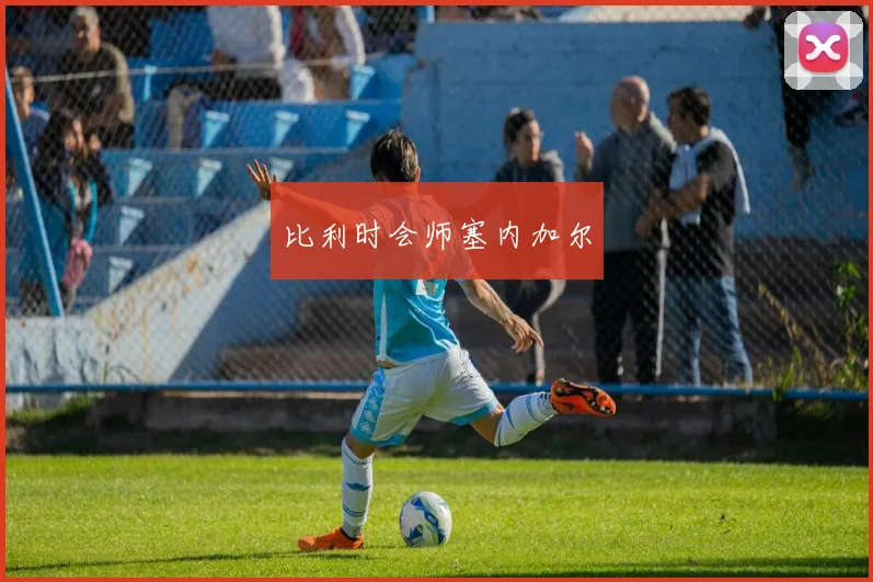比利时会师塞内加尔