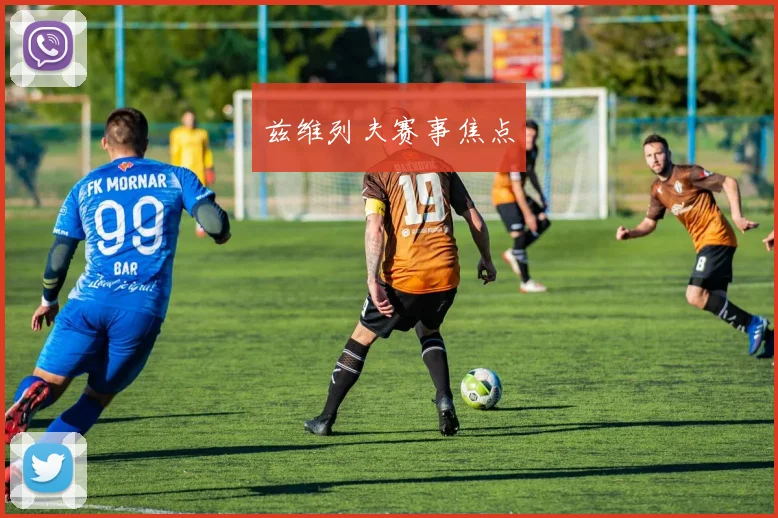 兹维列夫赛事焦点