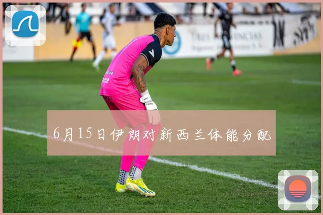 6月15日伊朗对新西兰体能分配