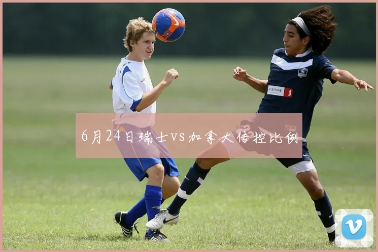6月24日瑞士vs加拿大传控比例