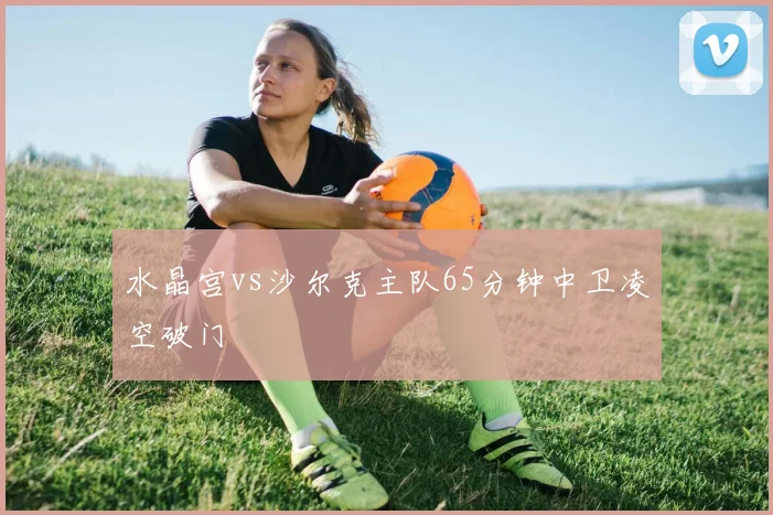 水晶宫vs沙尔克主队65分钟中卫凌空破门