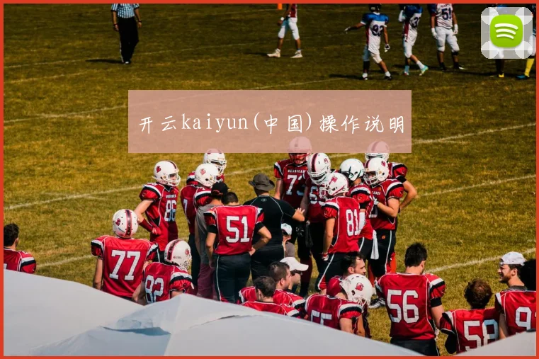 开云kaiyun(中国)操作说明