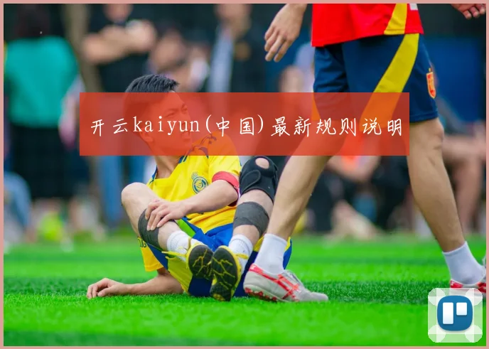 开云kaiyun(中国)最新规则说明